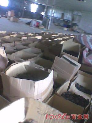 惠州專業二手設備回收 高價收購，信譽保障