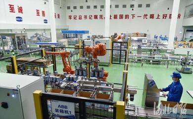 河北奶業振興之路 以質量安全為基，大額資金筑牢發展防線